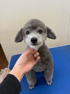 4d9a6697-b832-4a1c-9bb6-6f0bddee874d