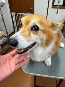 4d9a6697-b832-4a1c-9bb6-6f0bddee874d