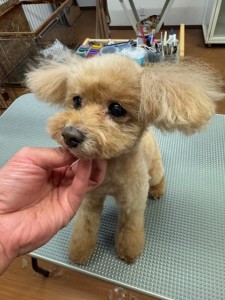 4d9a6697-b832-4a1c-9bb6-6f0bddee874d