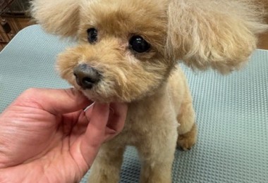 4d9a6697-b832-4a1c-9bb6-6f0bddee874d