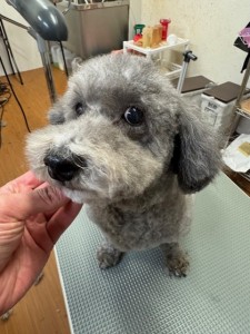 4d9a6697-b832-4a1c-9bb6-6f0bddee874d