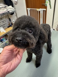 4d9a6697-b832-4a1c-9bb6-6f0bddee874d