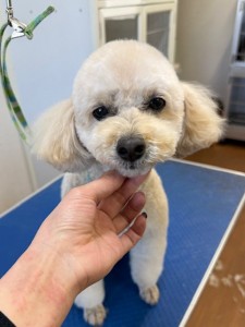 4d9a6697-b832-4a1c-9bb6-6f0bddee874d