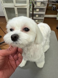 4d9a6697-b832-4a1c-9bb6-6f0bddee874d