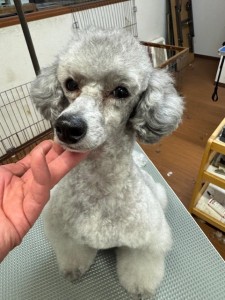 4d9a6697-b832-4a1c-9bb6-6f0bddee874d