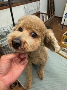 4d9a6697-b832-4a1c-9bb6-6f0bddee874d