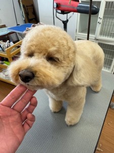 4d9a6697-b832-4a1c-9bb6-6f0bddee874d