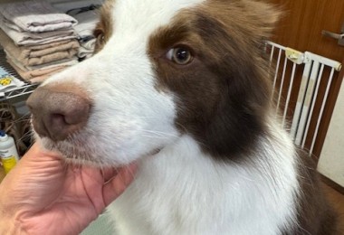 4d9a6697-b832-4a1c-9bb6-6f0bddee874d