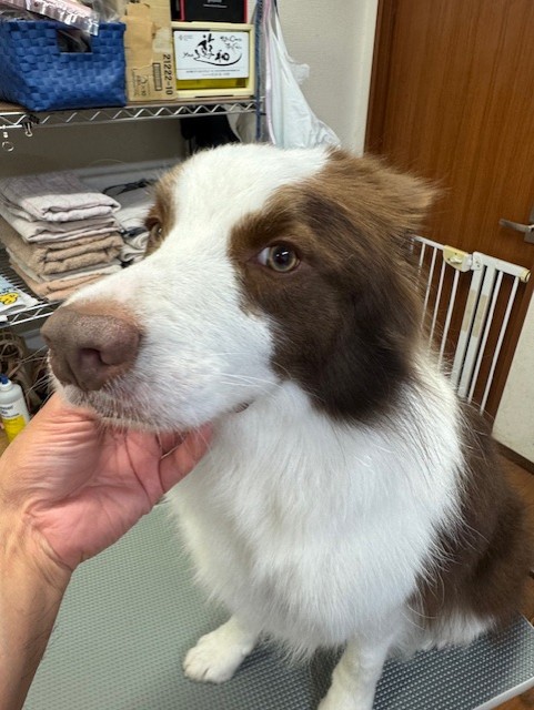 4d9a6697-b832-4a1c-9bb6-6f0bddee874d