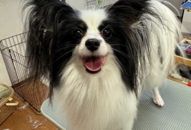 4d9a6697-b832-4a1c-9bb6-6f0bddee874d