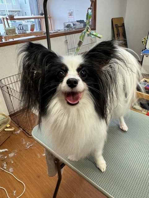 4d9a6697-b832-4a1c-9bb6-6f0bddee874d