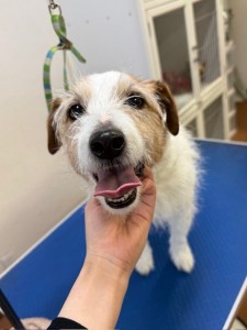 4d9a6697-b832-4a1c-9bb6-6f0bddee874d