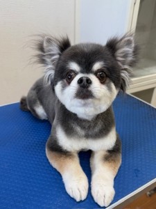 4d9a6697-b832-4a1c-9bb6-6f0bddee874d