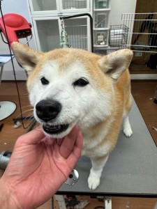 4d9a6697-b832-4a1c-9bb6-6f0bddee874d