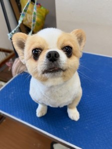 4d9a6697-b832-4a1c-9bb6-6f0bddee874d