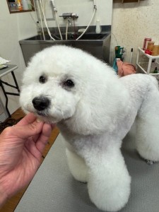 4d9a6697-b832-4a1c-9bb6-6f0bddee874d