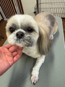 4d9a6697-b832-4a1c-9bb6-6f0bddee874d