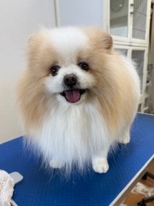 4d9a6697-b832-4a1c-9bb6-6f0bddee874d