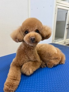 4d9a6697-b832-4a1c-9bb6-6f0bddee874d