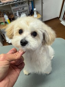 4d9a6697-b832-4a1c-9bb6-6f0bddee874d