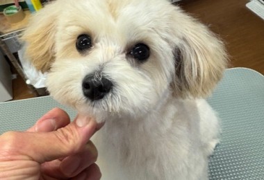 4d9a6697-b832-4a1c-9bb6-6f0bddee874d