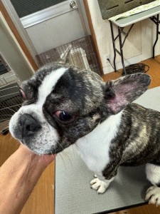 4df99342-4d54-4bc5-8913-9c6ea5f86c36