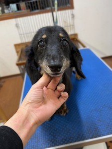 505f68cd-ed3d-4247-8082-05de93ea57cd