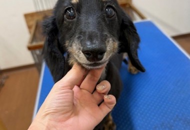 505f68cd-ed3d-4247-8082-05de93ea57cd