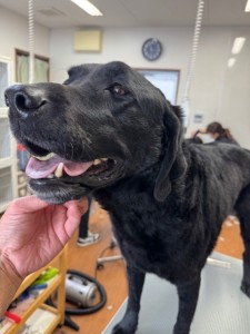 505f68cd-ed3d-4247-8082-05de93ea57cd