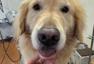 505f68cd-ed3d-4247-8082-05de93ea57cd