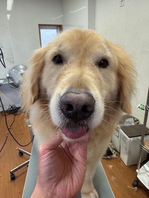 505f68cd-ed3d-4247-8082-05de93ea57cd