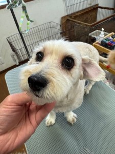 505f68cd-ed3d-4247-8082-05de93ea57cd