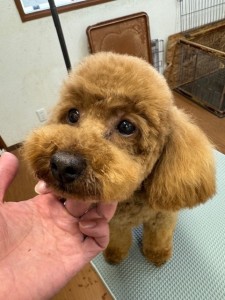 505f68cd-ed3d-4247-8082-05de93ea57cd