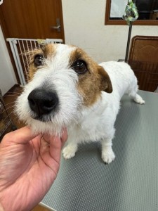 505f68cd-ed3d-4247-8082-05de93ea57cd