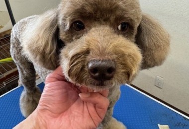 505f68cd-ed3d-4247-8082-05de93ea57cd