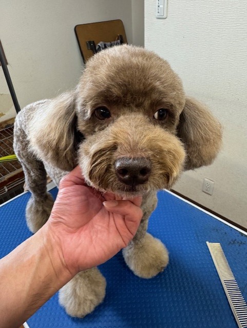 505f68cd-ed3d-4247-8082-05de93ea57cd