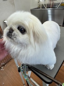 505f68cd-ed3d-4247-8082-05de93ea57cd