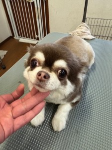 505f68cd-ed3d-4247-8082-05de93ea57cd