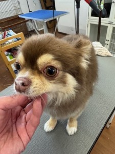 505f68cd-ed3d-4247-8082-05de93ea57cd