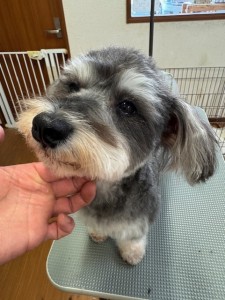 65dd0aba-8074-4e9f-972d-acefac1a1d3f