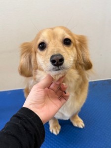 65dd0aba-8074-4e9f-972d-acefac1a1d3f