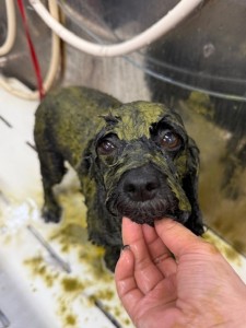 65dd0aba-8074-4e9f-972d-acefac1a1d3f