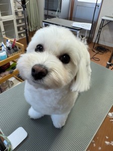 65dd0aba-8074-4e9f-972d-acefac1a1d3f