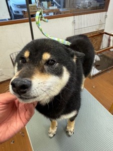 65dd0aba-8074-4e9f-972d-acefac1a1d3f