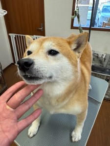 65dd0aba-8074-4e9f-972d-acefac1a1d3f