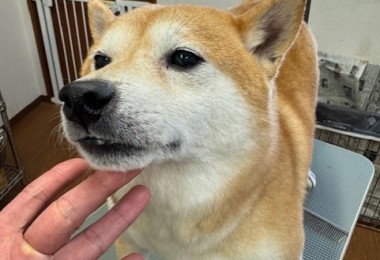 65dd0aba-8074-4e9f-972d-acefac1a1d3f