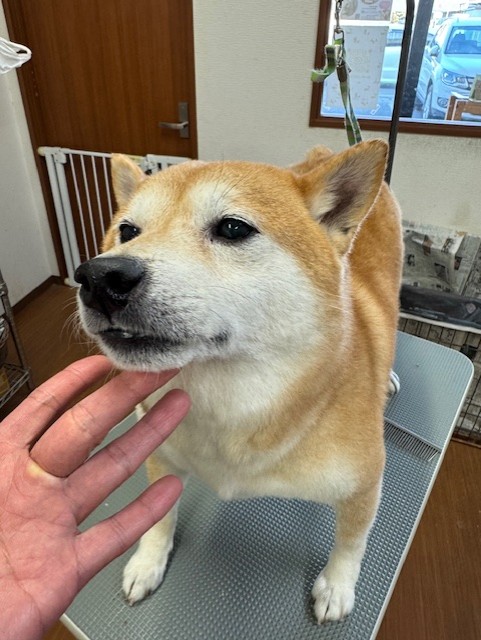 65dd0aba-8074-4e9f-972d-acefac1a1d3f