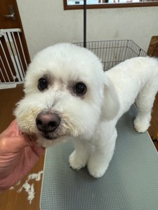 65dd0aba-8074-4e9f-972d-acefac1a1d3f