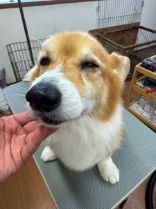 65dd0aba-8074-4e9f-972d-acefac1a1d3f