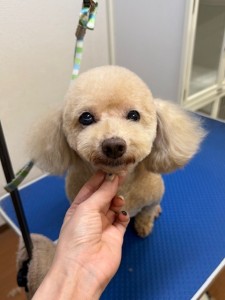 65dd0aba-8074-4e9f-972d-acefac1a1d3f